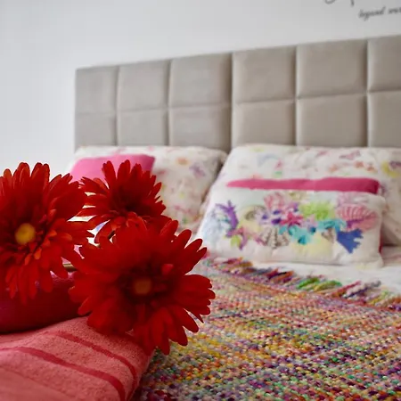 Casa La Zenia Apartament *
